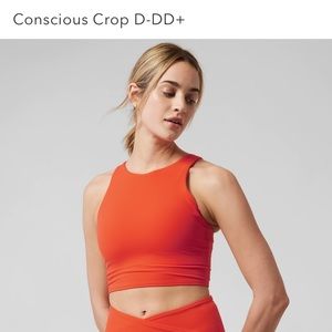 Athleta Crop Bra for D/DD+
